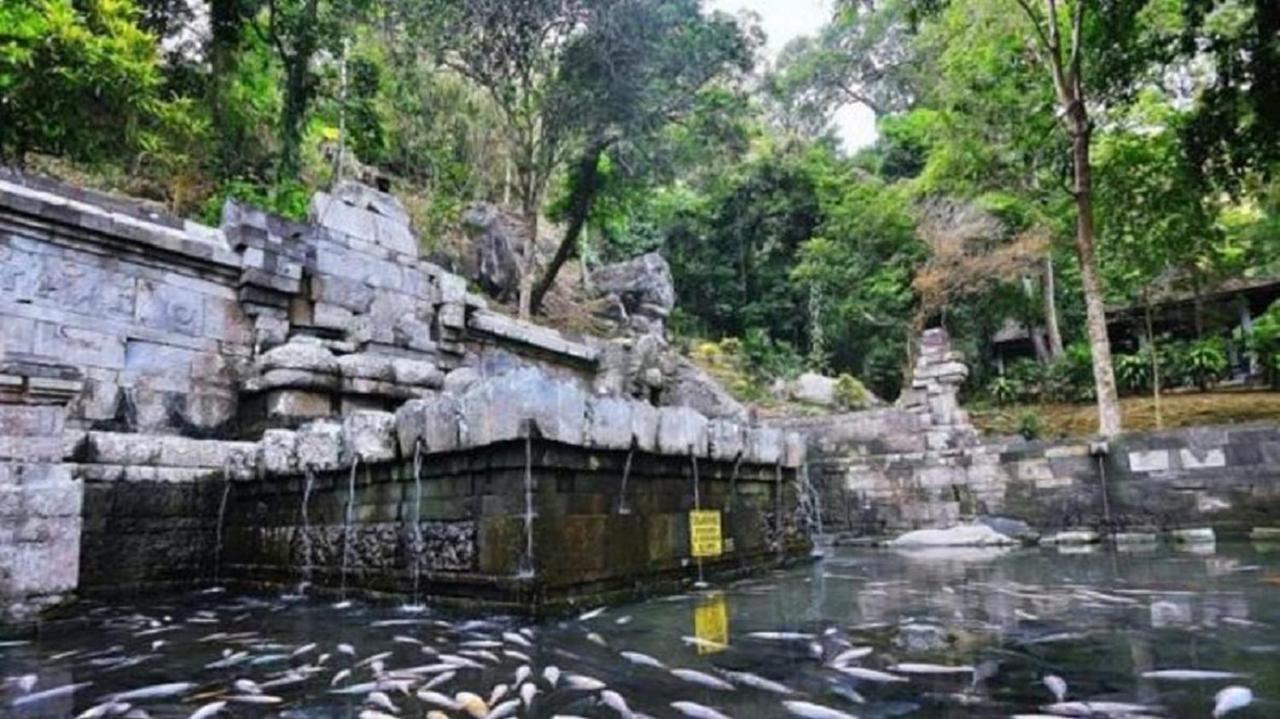 Welirang Forest Pacet Villa Mojokerto Ngoại thất bức ảnh